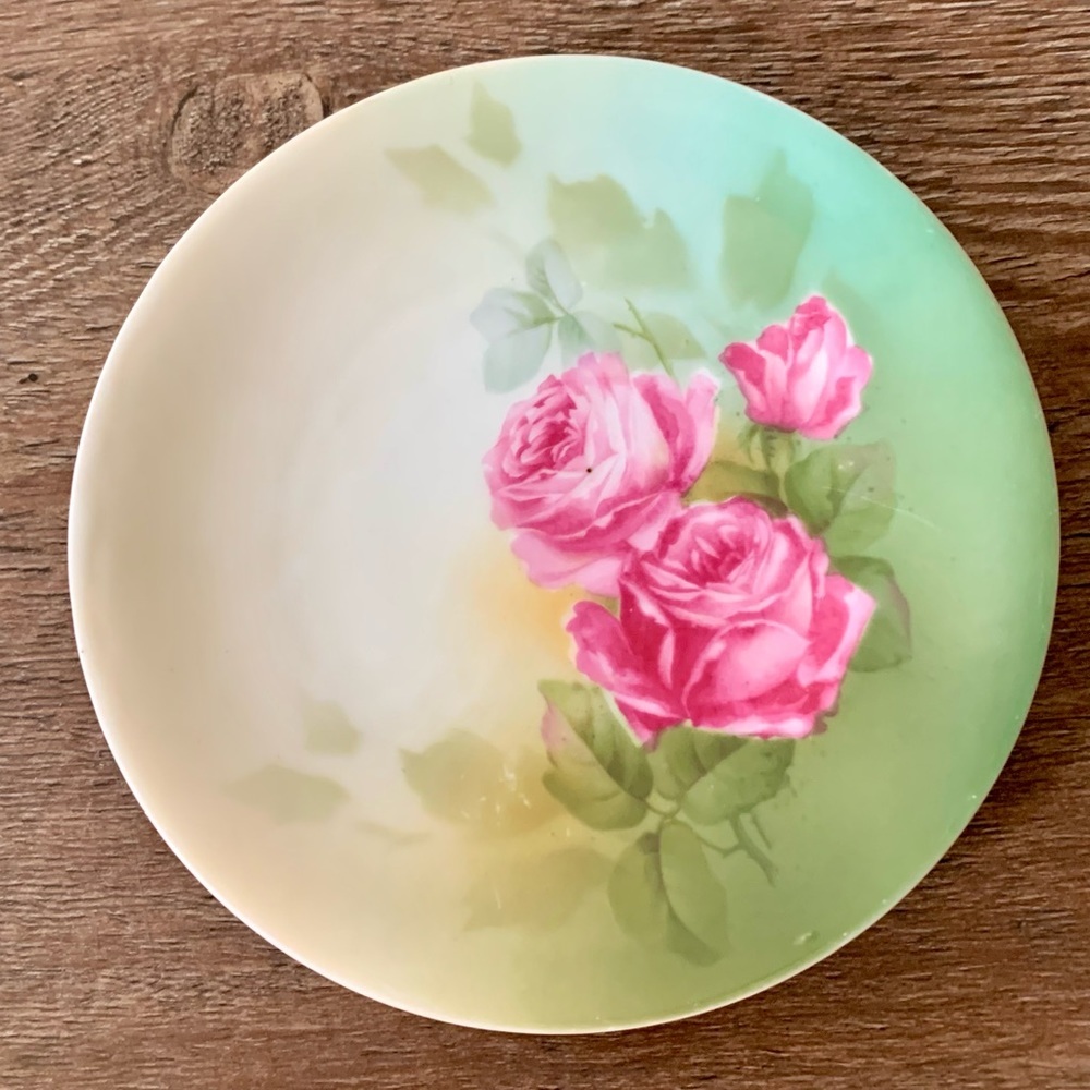 RS Prussia German Hand painted plate Germany 6.5” - Picture 7 of 7